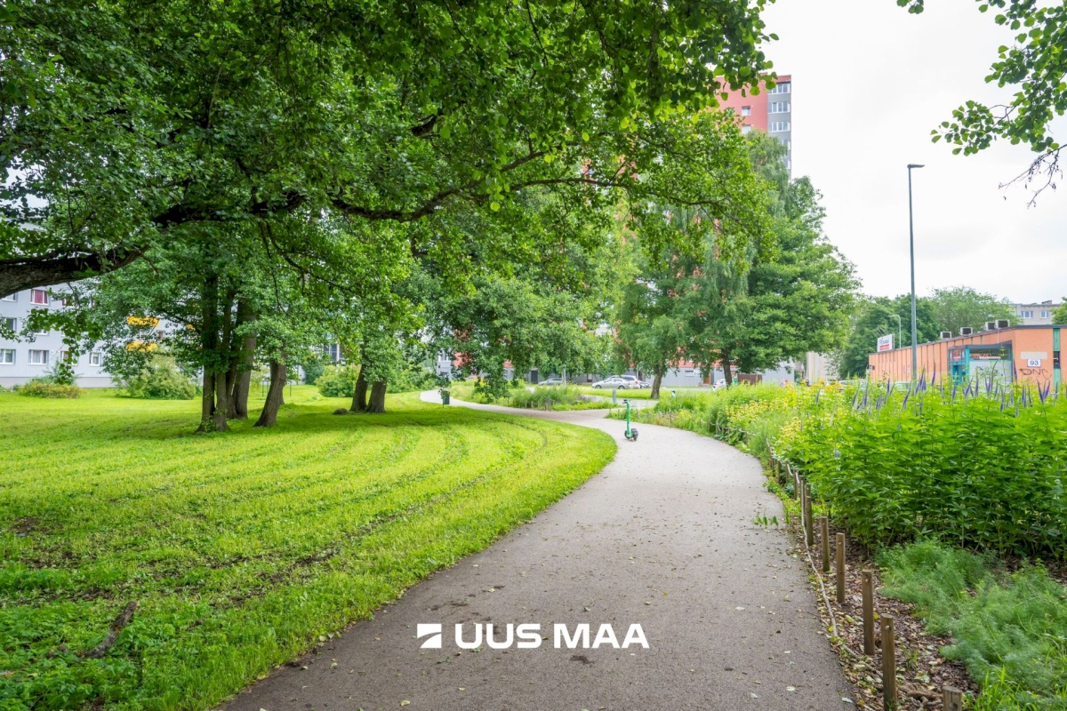 Tallinn, Mustamäe linnaosa, Tammsaare tee 99