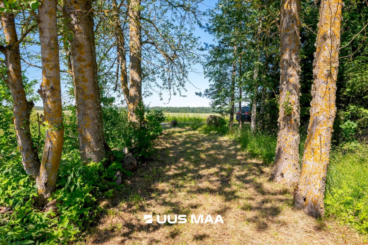 Nõo vald, Aiamaa küla, Ippa-Pärna