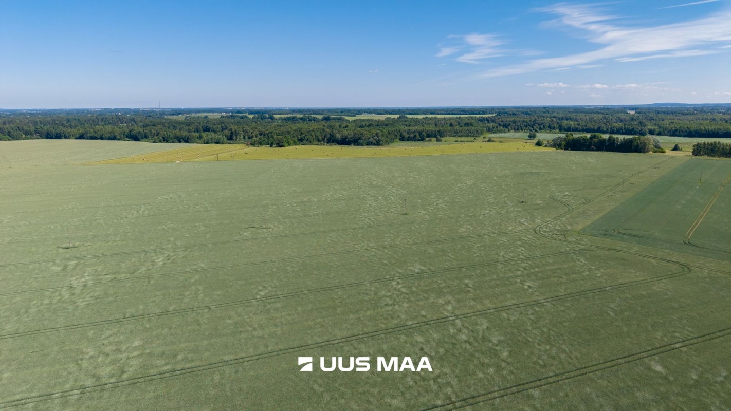 Nõo vald, Aiamaa küla, Ippa-Pärna