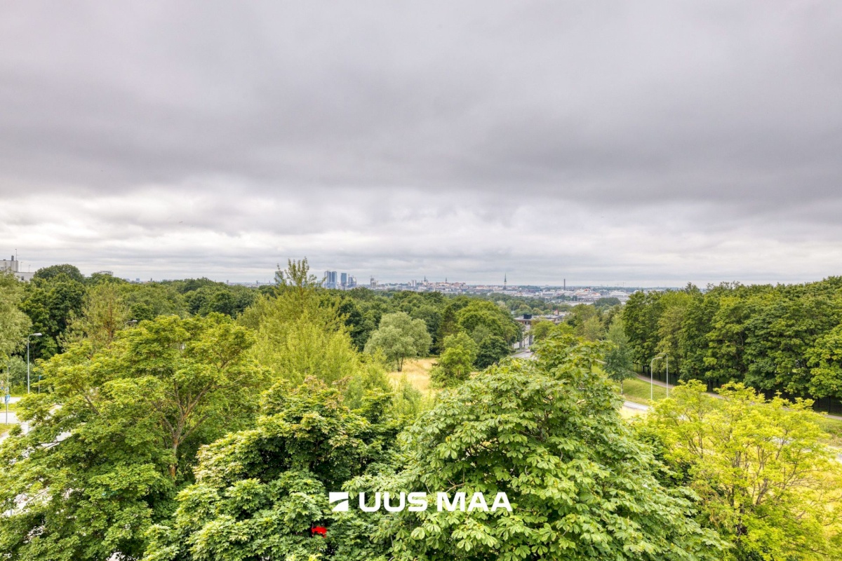 Tallinn, Kesklinna linnaosa, Kadriorg, Võidujooksu 1
