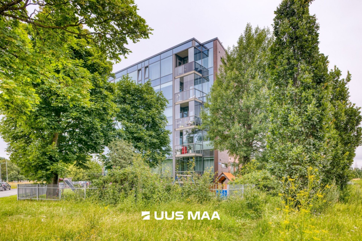 Tallinn, Kesklinna linnaosa, Kadriorg, Võidujooksu 1