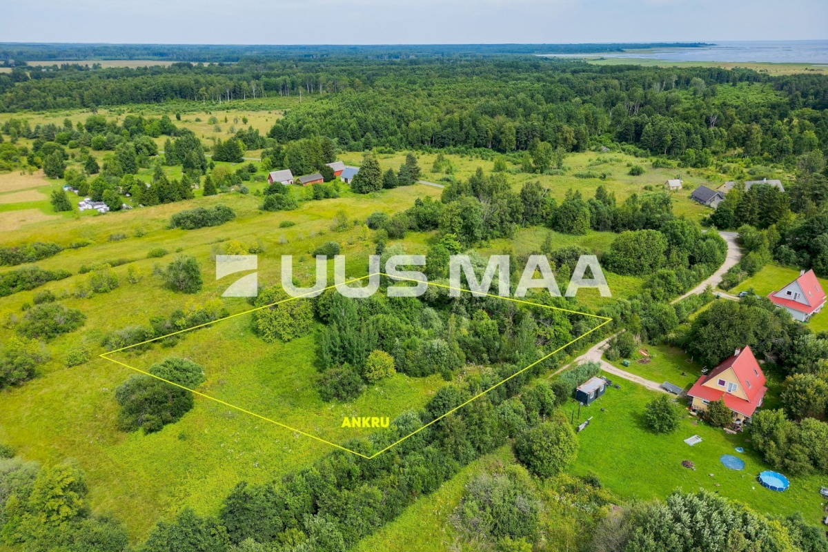Pärnu linn, Peerni küla, Ankru