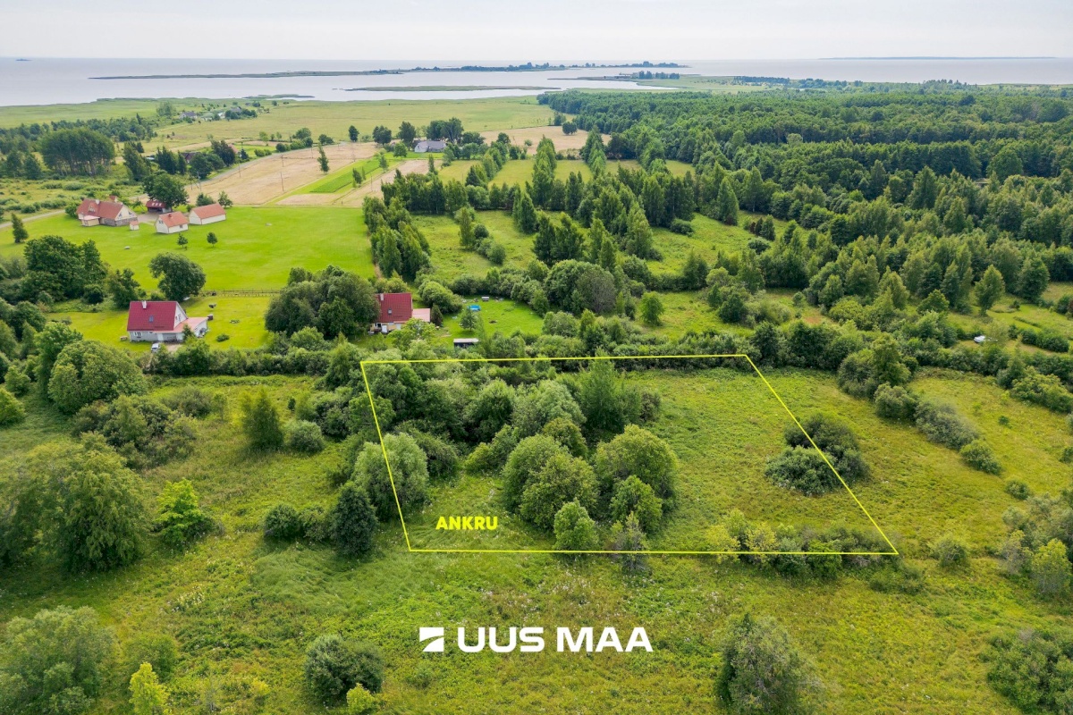 Pärnu linn, Peerni küla, Ankru