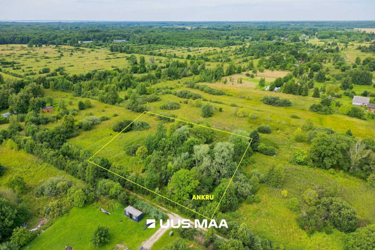 Pärnu linn, Peerni küla, Ankru