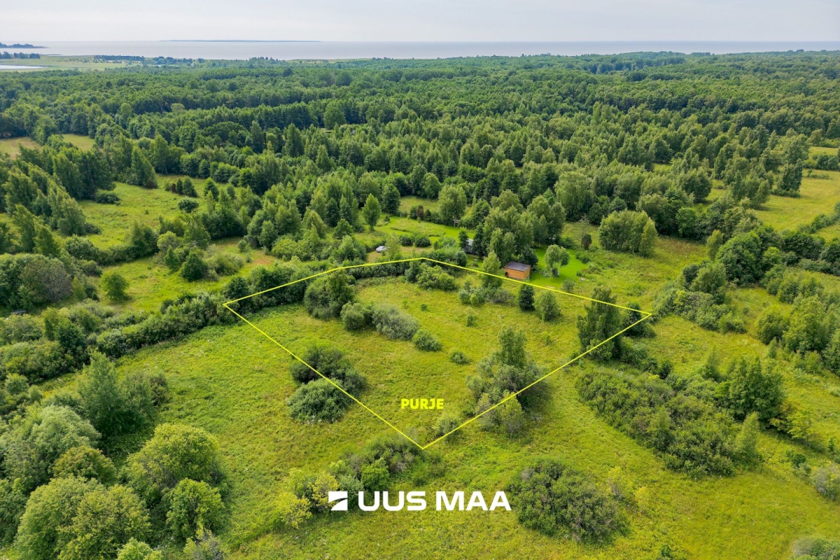 Pärnu linn, Peerni küla, Purje