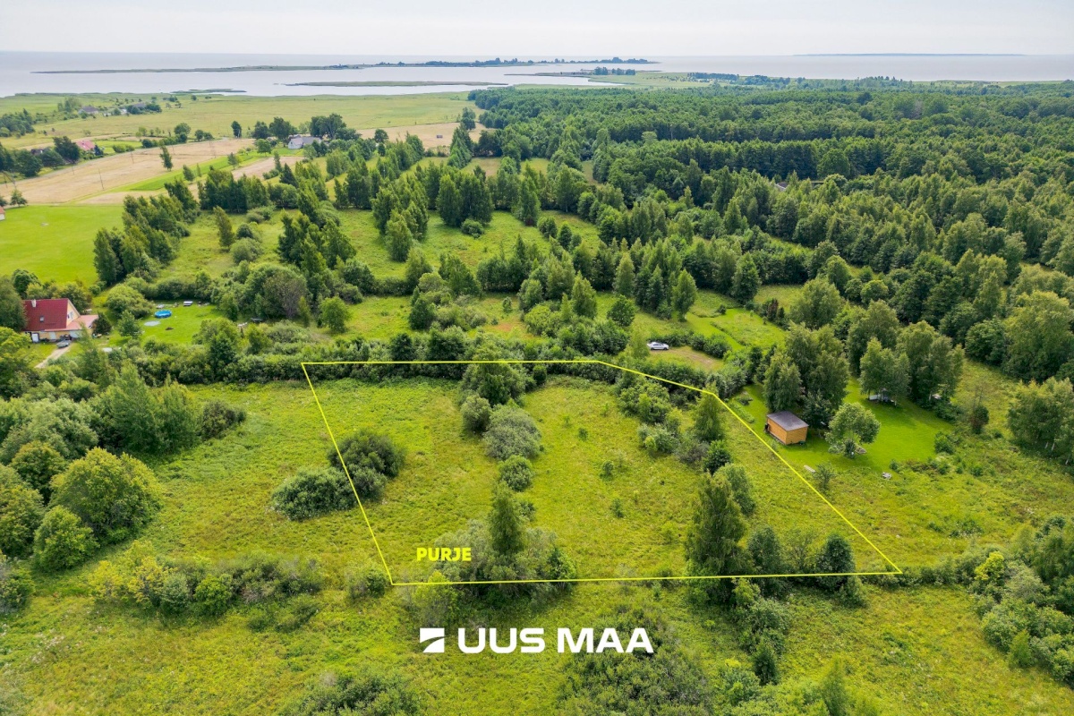 Pärnu linn, Peerni küla, Purje