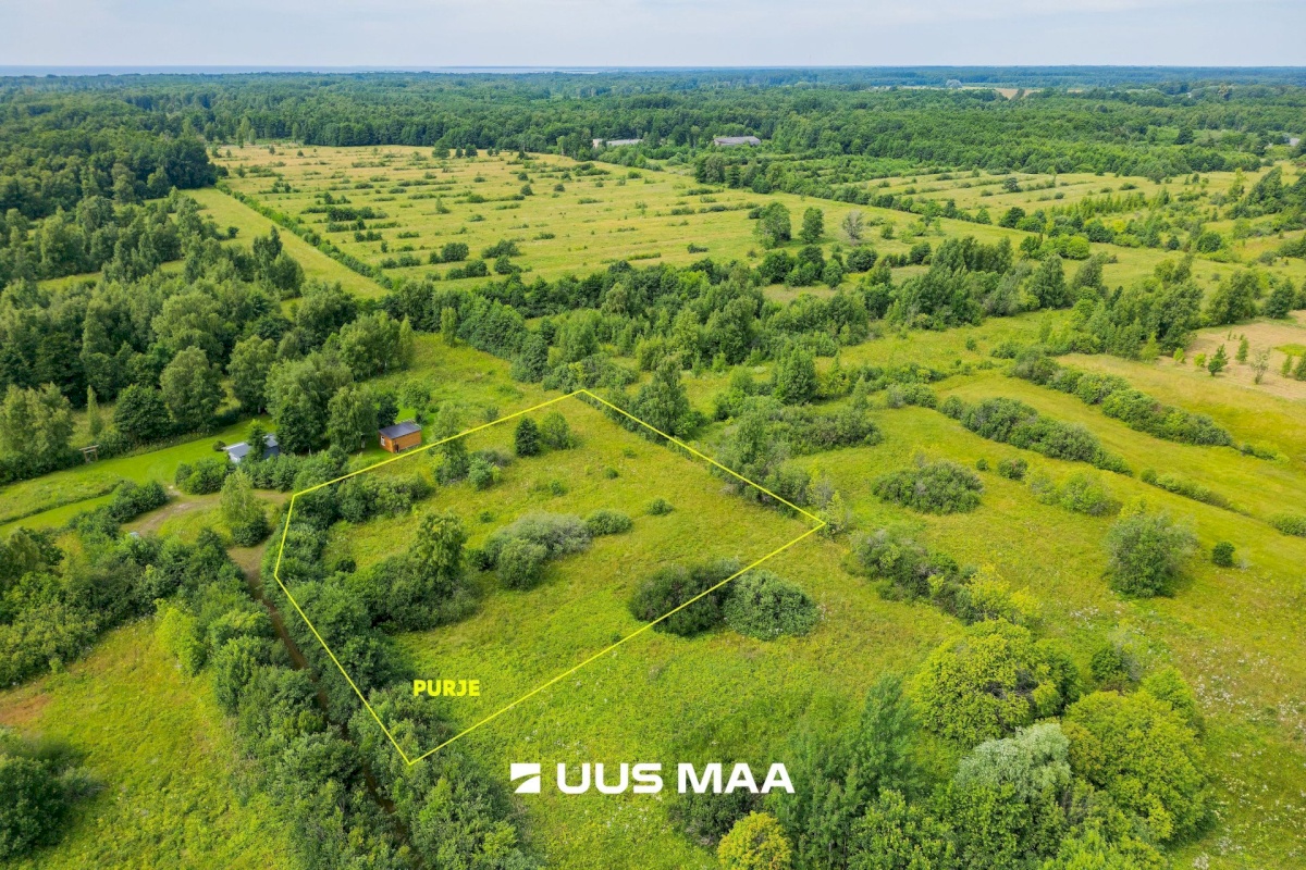 Pärnu linn, Peerni küla, Purje