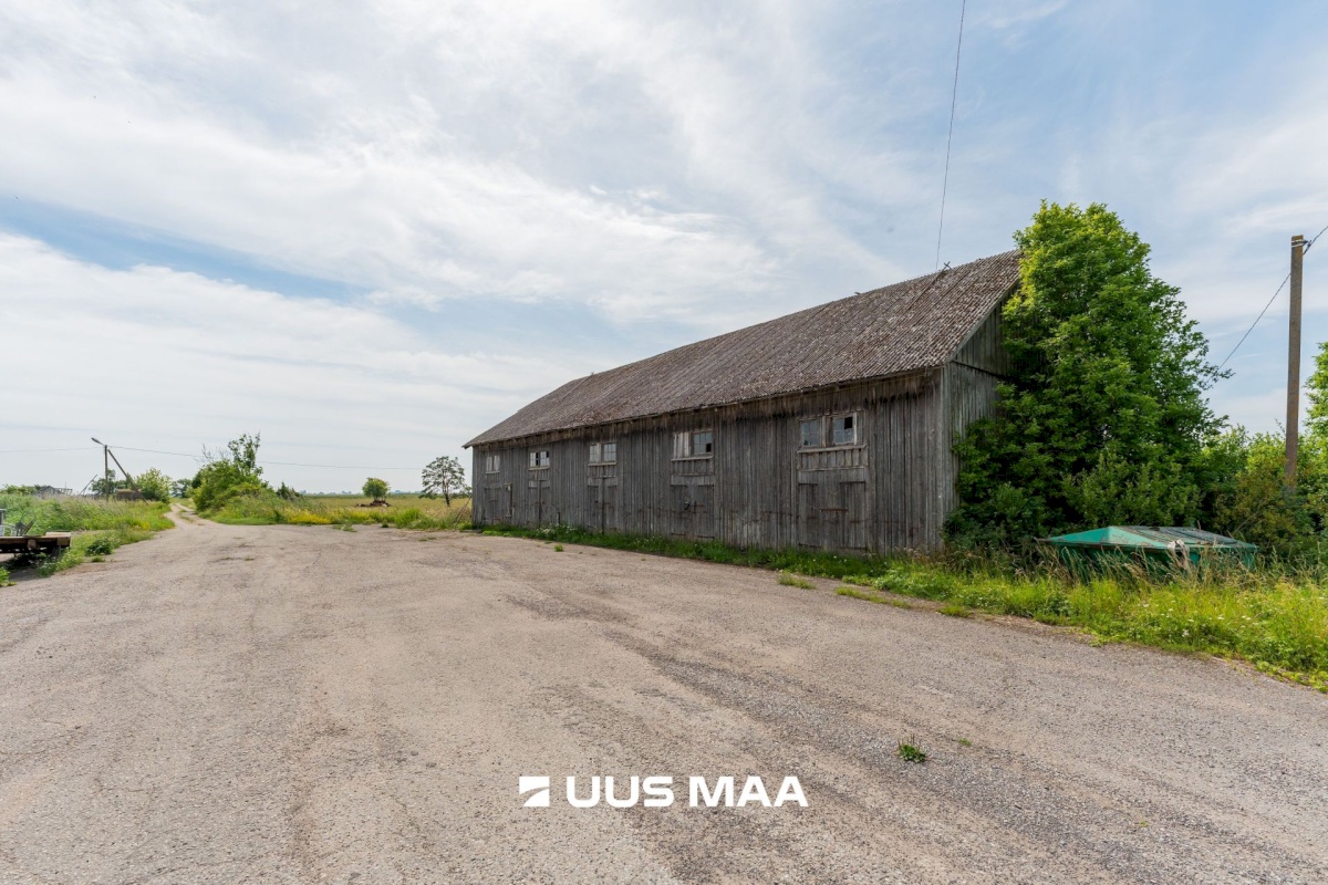 Pärnu linn, Peerni küla, Purje