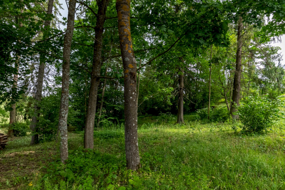 Nõo vald, Vissi küla