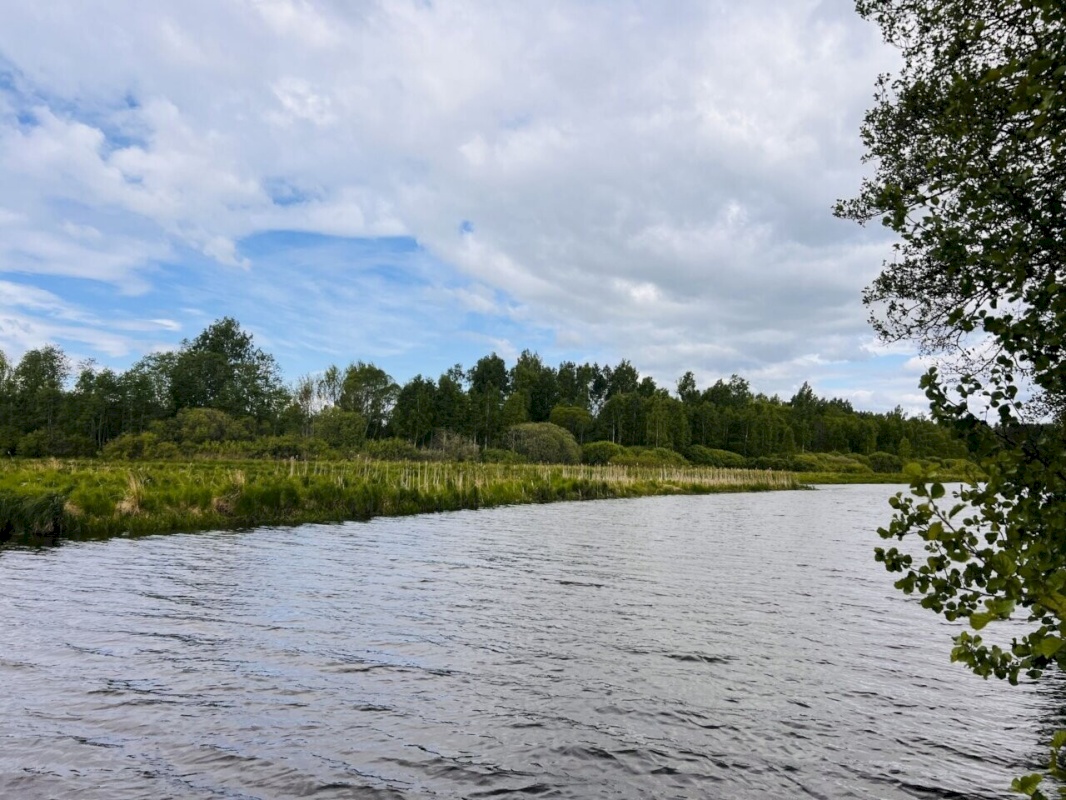 Kastre vald, Lääniste küla