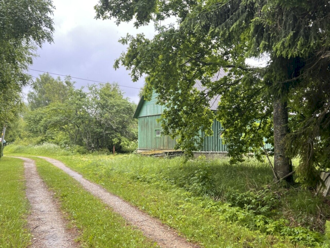 Peipsiääre vald, Nina küla, Pirni tn 3