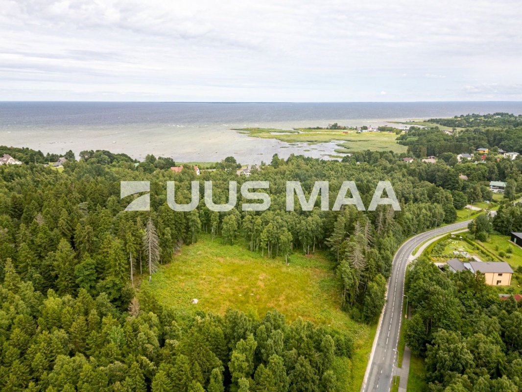 Viimsi vald, Leppneeme küla, Uuekalda
