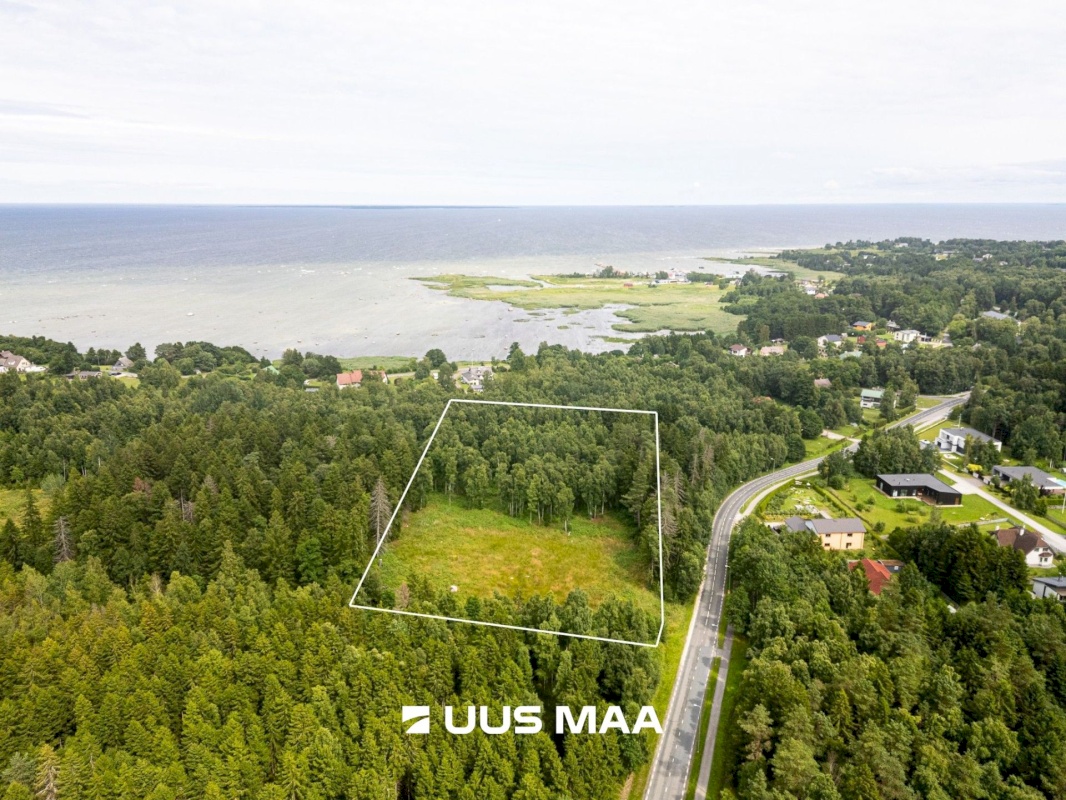 Viimsi vald, Leppneeme küla, Uuekalda
