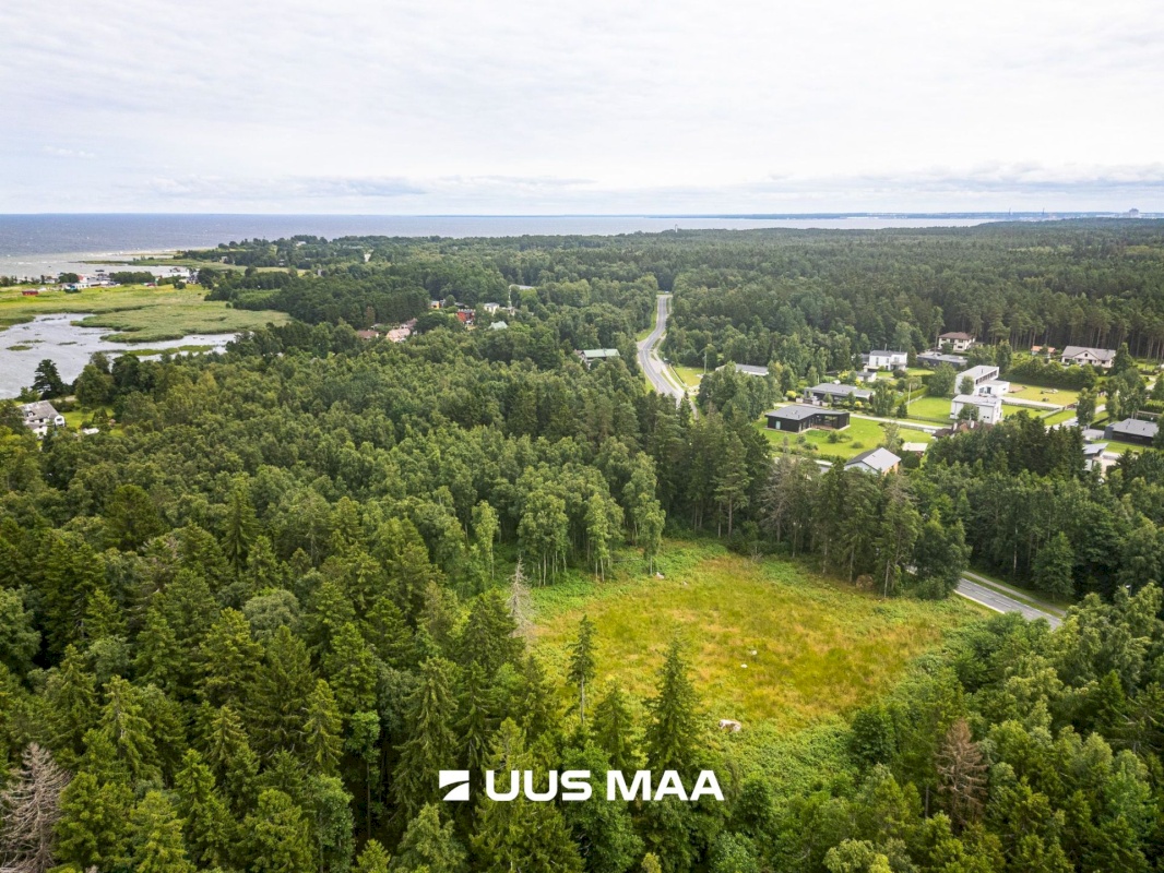 Viimsi vald, Leppneeme küla, Uuekalda