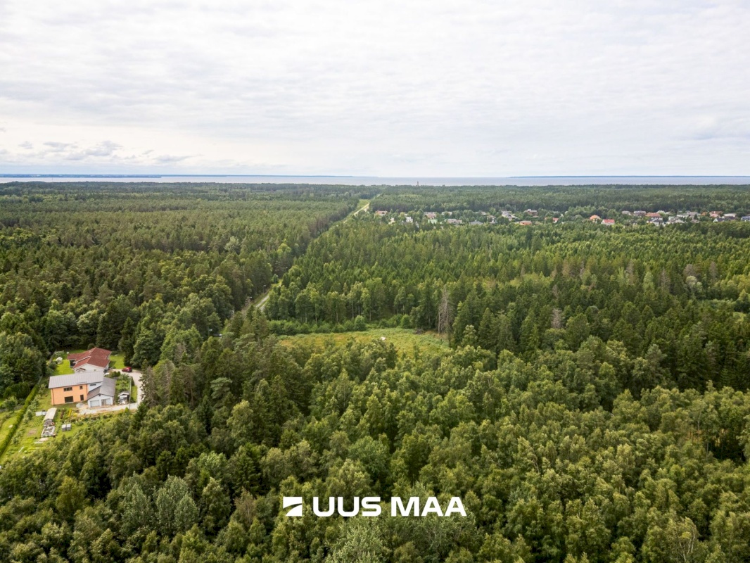 Viimsi vald, Leppneeme küla, Uuekalda