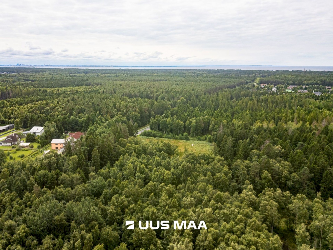 Viimsi vald, Leppneeme küla, Uuekalda