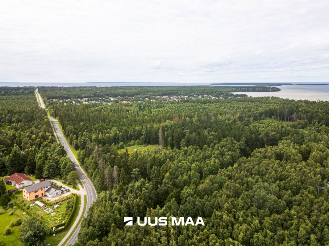 Viimsi vald, Leppneeme küla, Uuekalda