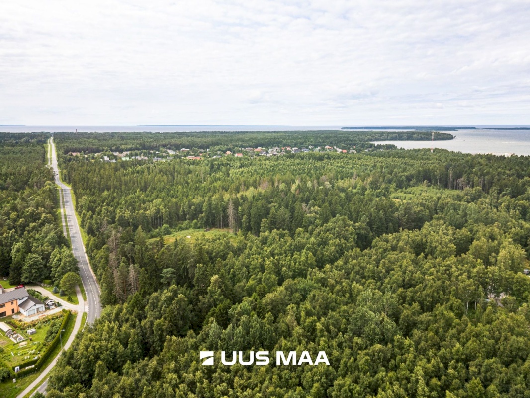 Viimsi vald, Leppneeme küla, Uuekalda
