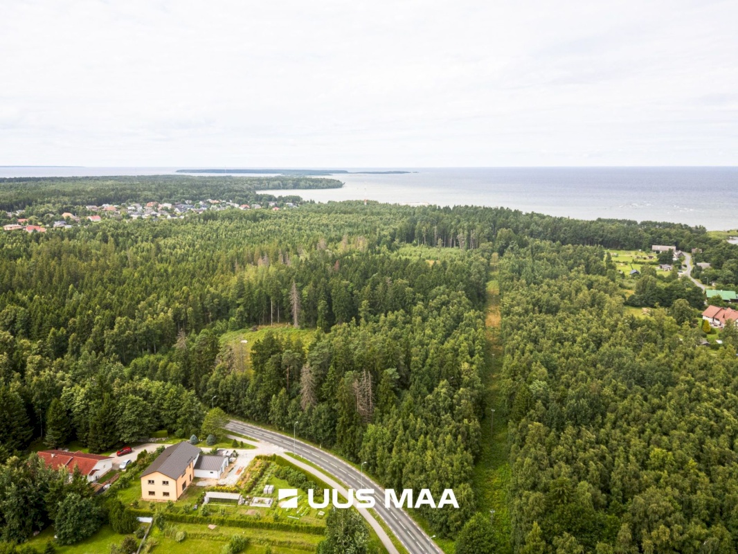Viimsi vald, Leppneeme küla, Uuekalda