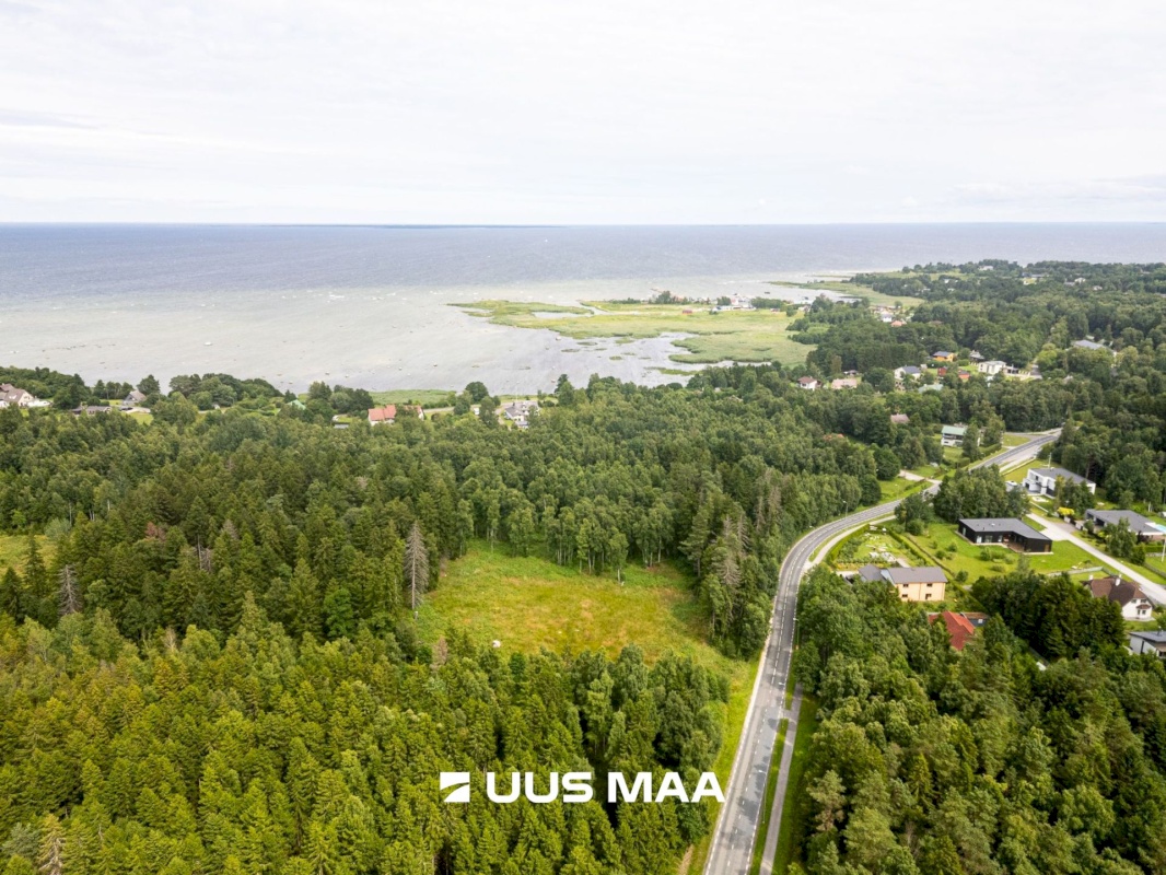 Viimsi vald, Leppneeme küla, Uuekalda