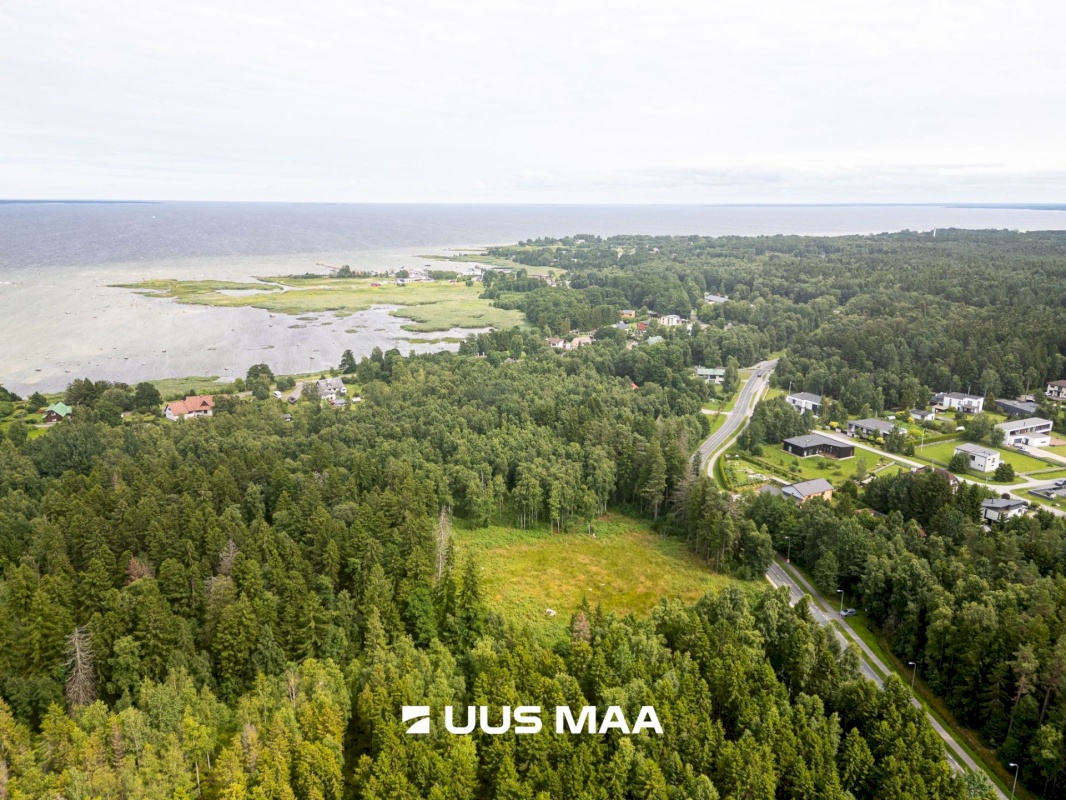 Viimsi vald, Leppneeme küla, Uuekalda