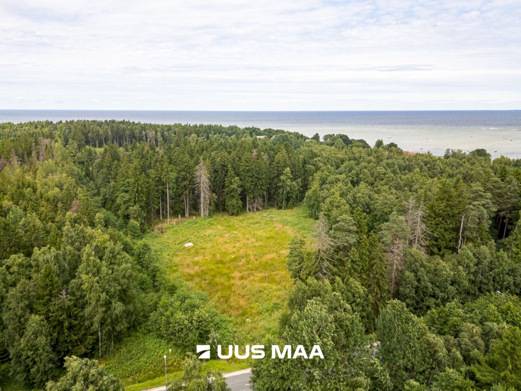 Viimsi vald, Leppneeme küla, Uuekalda