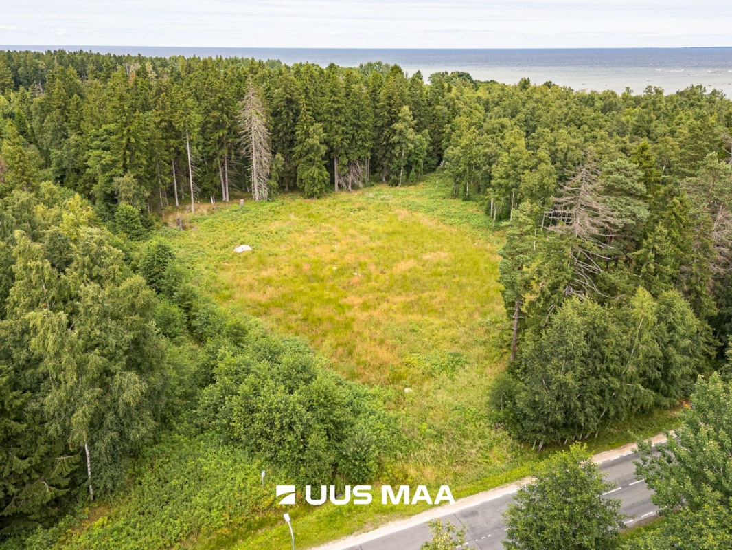 Viimsi vald, Leppneeme küla, Uuekalda