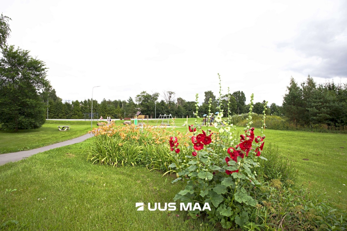 Rapla vald, Kabala küla, Kooli tee 6