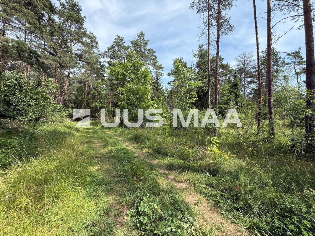 Lääne-Harju vald, Nahkjala küla, Pärna 26