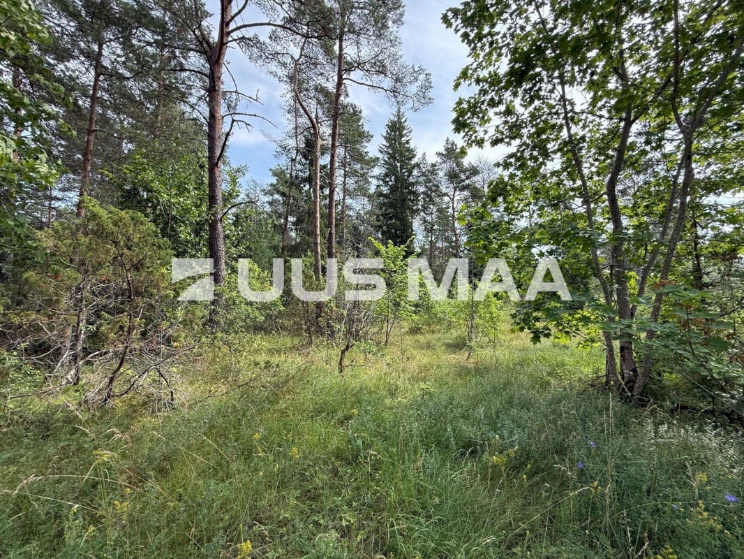 Lääne-Harju vald, Nahkjala küla, Merilaine