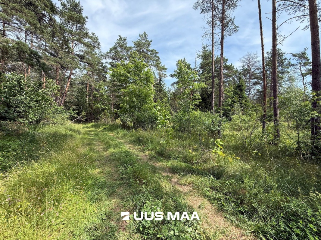 Lääne-Harju vald, Nahkjala küla, Merilaine