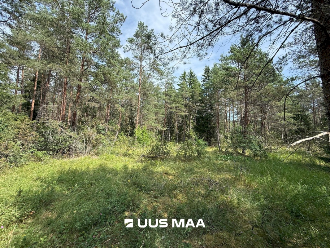 Lääne-Harju vald, Nahkjala küla, Merilaine