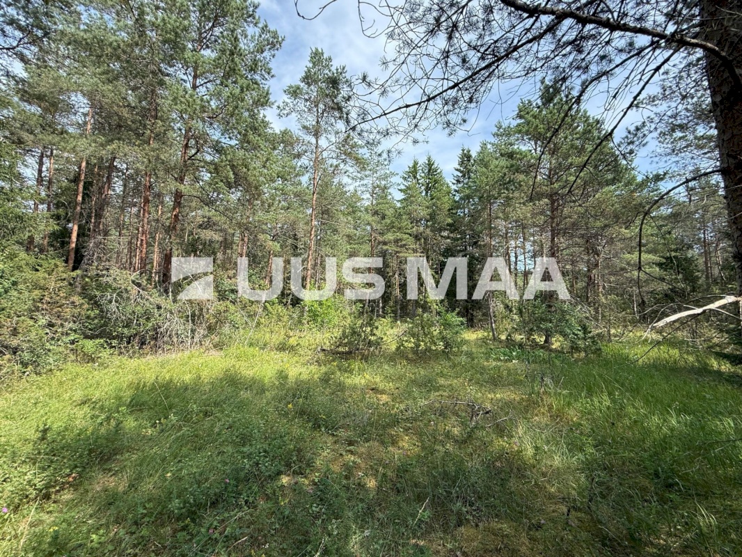 Lääne-Harju vald, Nahkjala küla, Maikellukese