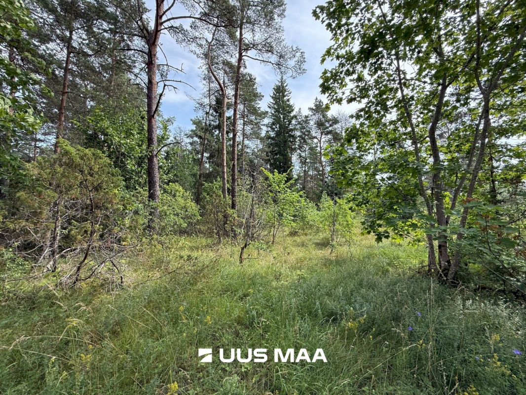 Lääne-Harju vald, Nahkjala küla, Maikellukese