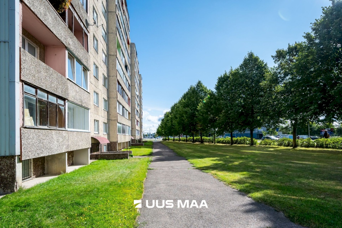 Tallinn, Lasnamäe linnaosa, Punane 39