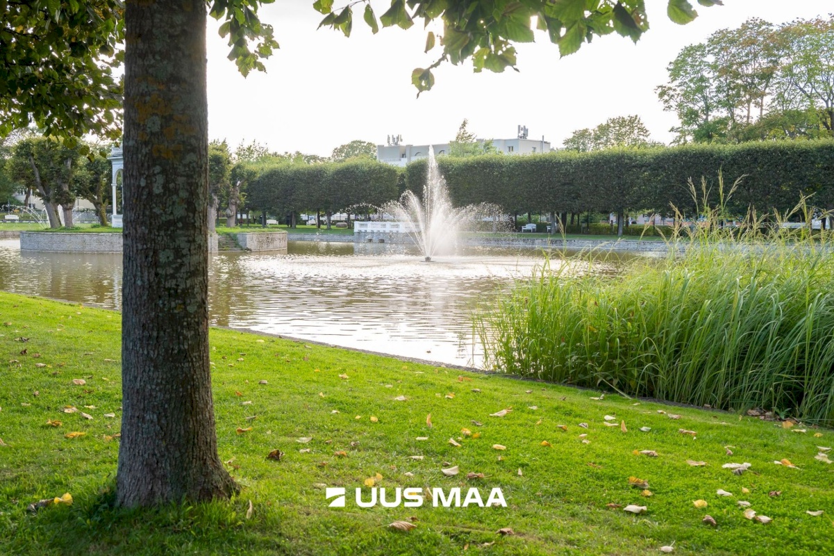 Tallinn, Kesklinna linnaosa, Kadriorg, Tina 21