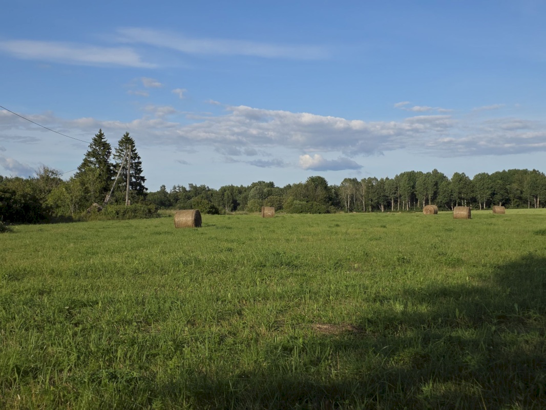 Saaremaa vald, Röösa küla, Enno