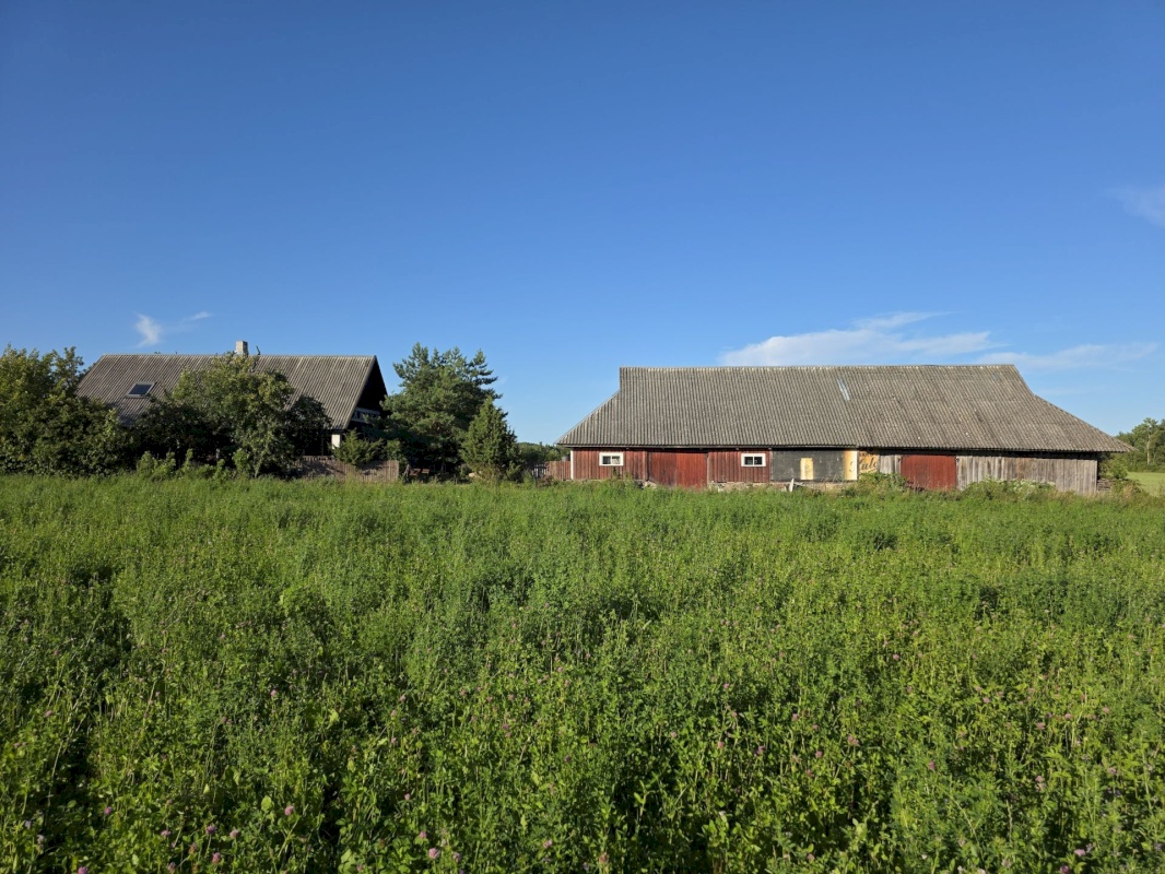 Saaremaa vald, Röösa küla, Enno