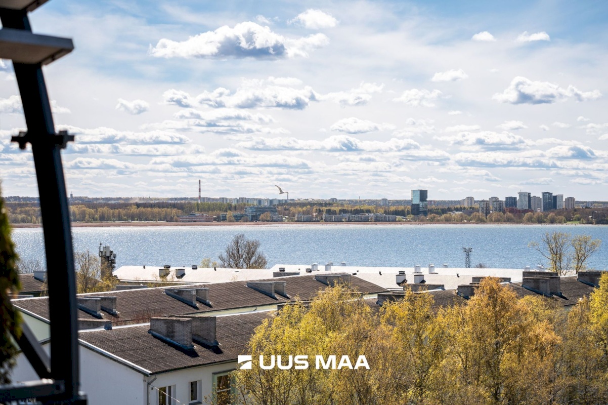 Tallinn, Põhja-Tallinna linnaosa, Ankru 8