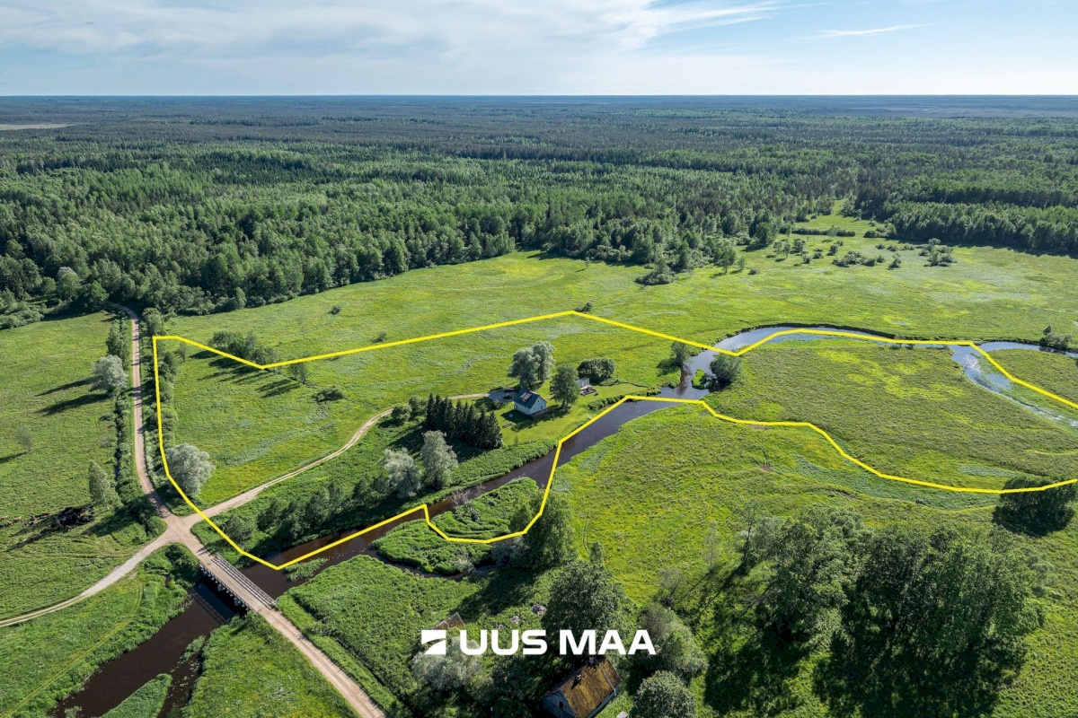 Põhja-Sakala vald, Tipu küla, Tammearu