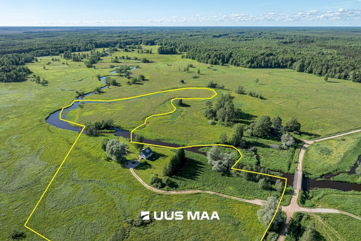 Põhja-Sakala vald, Tipu küla, Tammearu