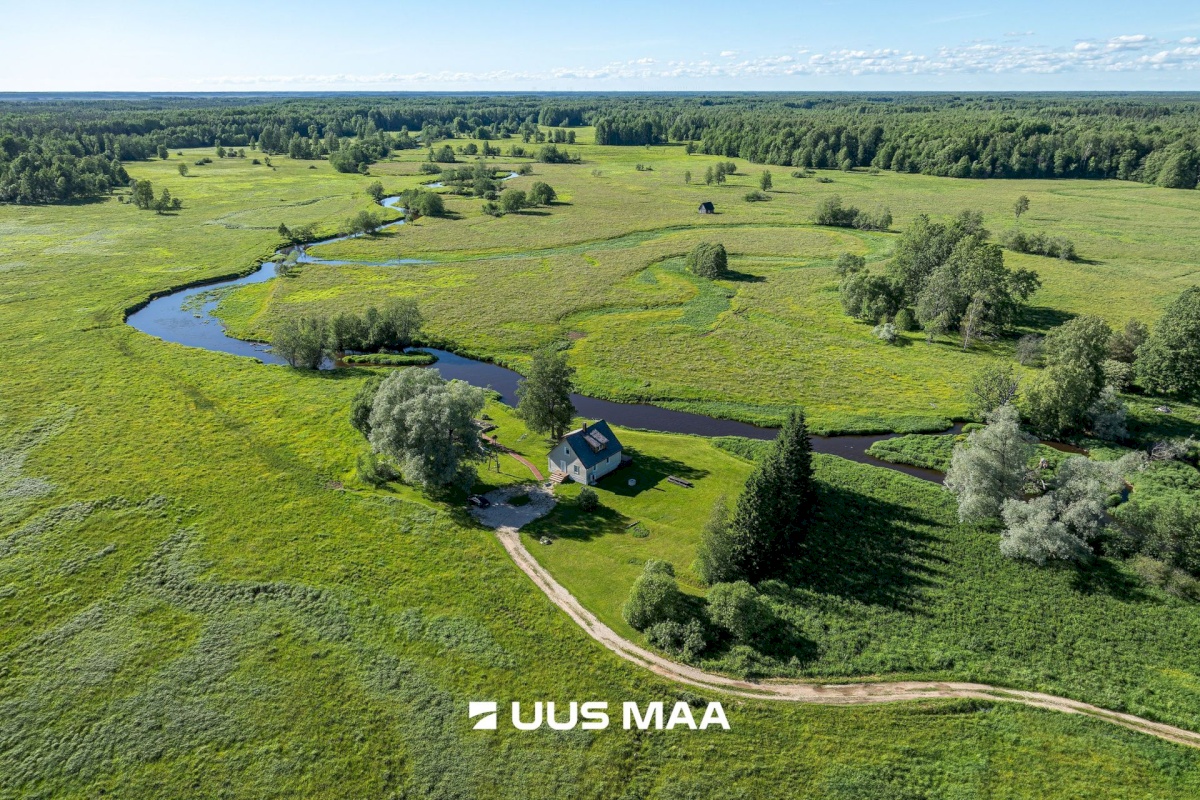 Põhja-Sakala vald, Tipu küla, Tammearu