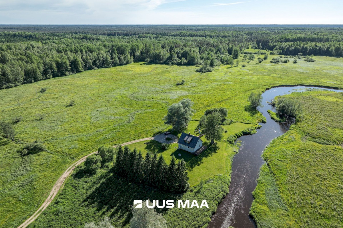 Põhja-Sakala vald, Tipu küla, Tammearu