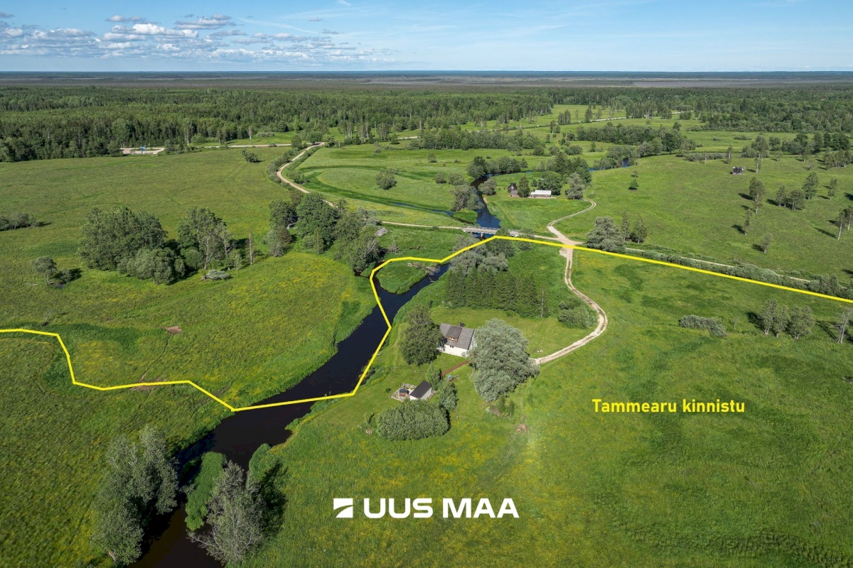 Põhja-Sakala vald, Tipu küla, Tammearu