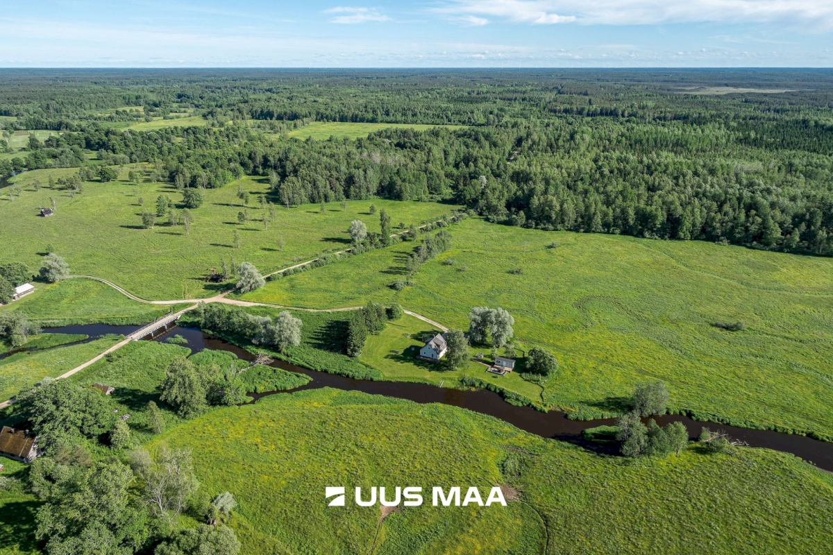 Põhja-Sakala vald, Tipu küla, Tammearu