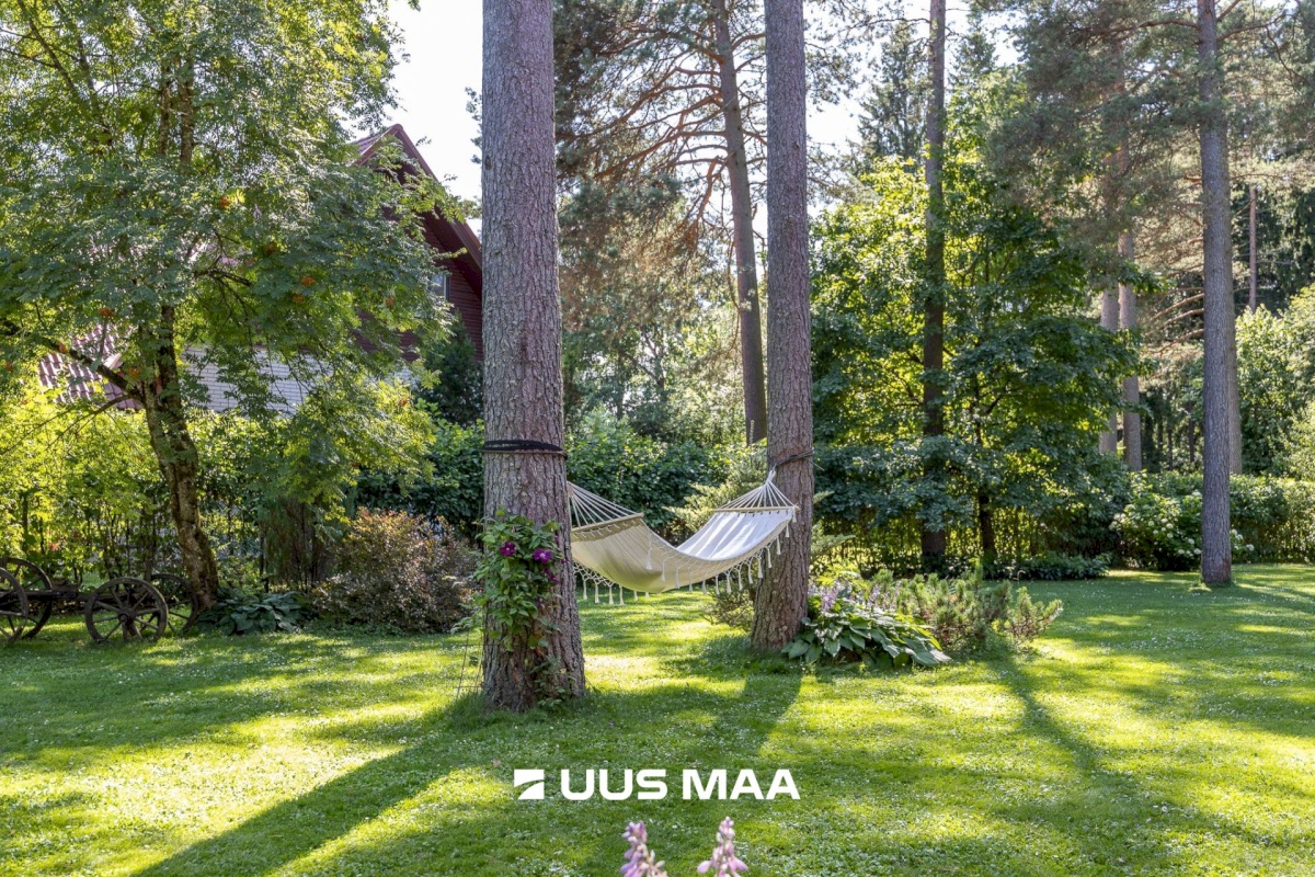 Saku vald, Saku alevik, Laane tn 21