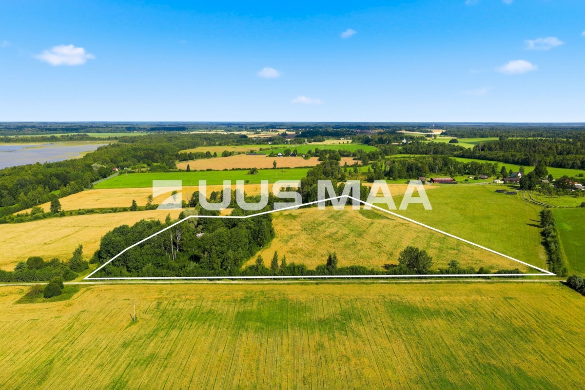 Pärnu linn, Männikuste küla, Oja