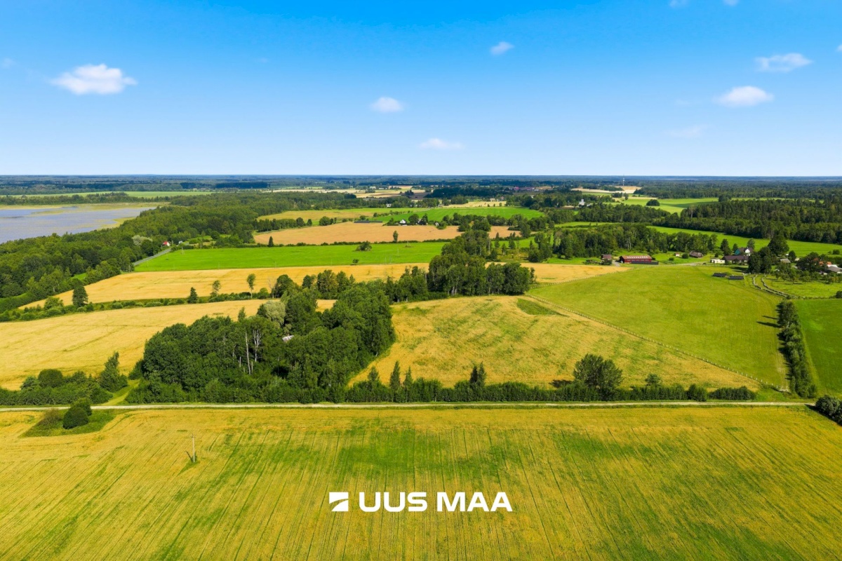 Pärnu linn, Männikuste küla, Oja