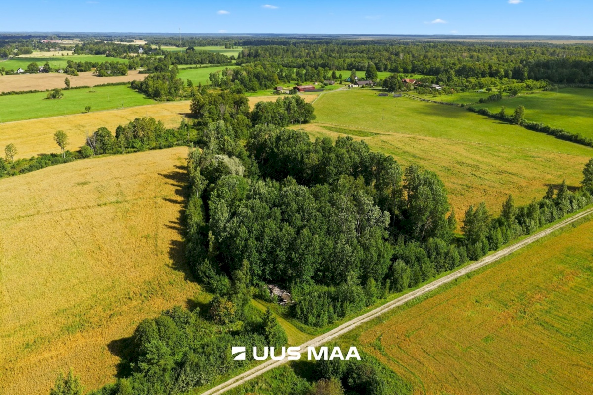 Pärnu linn, Männikuste küla, Oja