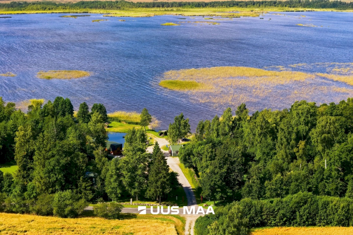 Pärnu linn, Männikuste küla, Oja